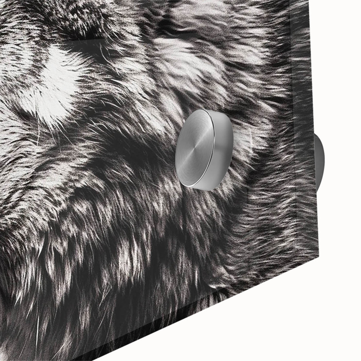 Close-up of a stunning acrylic wall art piece featuring a majestic wolf in a wild landscape, highlighting intricate details and vibrant colors, perfect for animal lovers.
