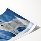 Wolf wall art design featuring a striking black and white illustration of a majestic wolf in a natural setting, ideal for wildlife enthusiasts and home decor.