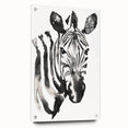 Acrylic wall art featuring a vibrant zebra design, showcasing bold black and white stripes, mounted with pins for a sleek display in modern decor settings.