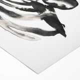 Rolled canvas featuring a striking zebra design in black and white, showcasing intricate details and textures, perfect for animal lovers and modern decor.