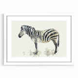 Zebra-themed wall art collection framed in white matting, showcasing a striking black and white design perfect for animal lovers and home decor enthusiasts.