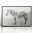 Framed acrylic wall art showcasing a striking zebra design in black and white, perfect for adding a touch of wildlife elegance to any room decor.