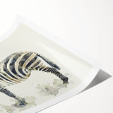 Zebra wall art print showcasing a striking black and white striped design, ideal for wildlife enthusiasts, displayed as a rolled canvas for easy framing.