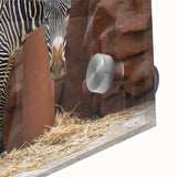 Close-up of a vibrant zebra design wall art piece, showcasing intricate details and bold colors on acrylic glass, ideal for adding a wild aesthetic to home decor.