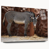Side view of a modern acrylic wall art piece featuring a striking zebra design, showcasing bold black and white stripes, perfect for animal lovers and home decor enthusiasts.