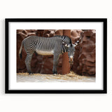 Zebra-themed wall art design in a sleek black frame with a mat, showcasing intricate details and vibrant colors, ideal for enhancing modern decor. Perfect addition for animal lovers and art enthusiasts.