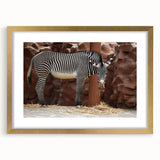 Zebra-themed wall art design framed in gold, showcasing a striking black and white zebra pattern, ideal for wildlife decor. Perfect for adding elegance to any interior space.