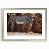 Zebra design wall art framed in silver, showcasing a striking black and white striped pattern. Ideal for animal lovers and modern decor enthusiasts, this piece adds a touch of wildlife elegance to any room.