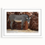 Framed wall art featuring a striking black and white zebra design, set against a crisp white mat, perfect for enhancing modern home decor and animal-themed interiors.