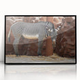 Framed wall art featuring a striking black and white zebra design, encased in sleek acrylic, perfect for modern home decor and animal-themed interiors.