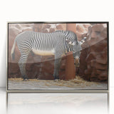 Framed acrylic wall art featuring a striking zebra design in silver tones, showcasing intricate details and vibrant contrasts, perfect for wildlife enthusiasts' decor.