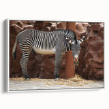 Framed canvas wall art featuring a striking zebra design in black and white, showcasing the animal’s unique stripes against a minimalistic background, perfect for modern decor.