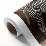 Rolled canvas print showcasing a striking zebra design with vibrant black and white stripes, ideal for wildlife-themed decor, packaged securely for easy display.