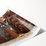 Zebra design wall art print showcasing a striking black and white zebra pattern, rolled and ready for framing, perfect for animal-themed home decor.