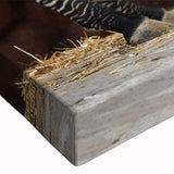 Close-up of a vibrant zebra design wall art canvas showcasing intricate black and white stripes, perfect for adding a touch of wildlife elegance to any decor.