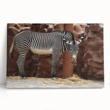 Stretched canvas wall art showcasing a striking zebra design in a vibrant monochrome palette, perfect for adding a bold wildlife touch to any room decor.
