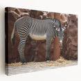Stretched canvas wall art featuring a striking zebra design in a side view, highlighting its bold black and white stripes, perfect for animal lovers and home decor enthusiasts.