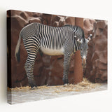 Stretched canvas wall art featuring a striking zebra design in a side view, highlighting its bold black and white stripes, perfect for animal lovers and home decor enthusiasts.