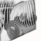 Close-up of a vibrant zebra design wall art piece, showcasing bold black and white stripes on acrylic glass, ideal for modern decor. Perfect for animal lovers.