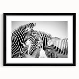 Zebra design wall art collection frame featuring a sleek black mat and modern aesthetic, ideal for animal lovers and contemporary decor enthusiasts. Perfect addition to living spaces or offices, showcasing vibrant wildlife art.