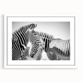 Zebra design wall art from the "Animals: A Wild Life" collection, featuring a framed print with a white mat, perfect for nature-themed decor in modern interiors.