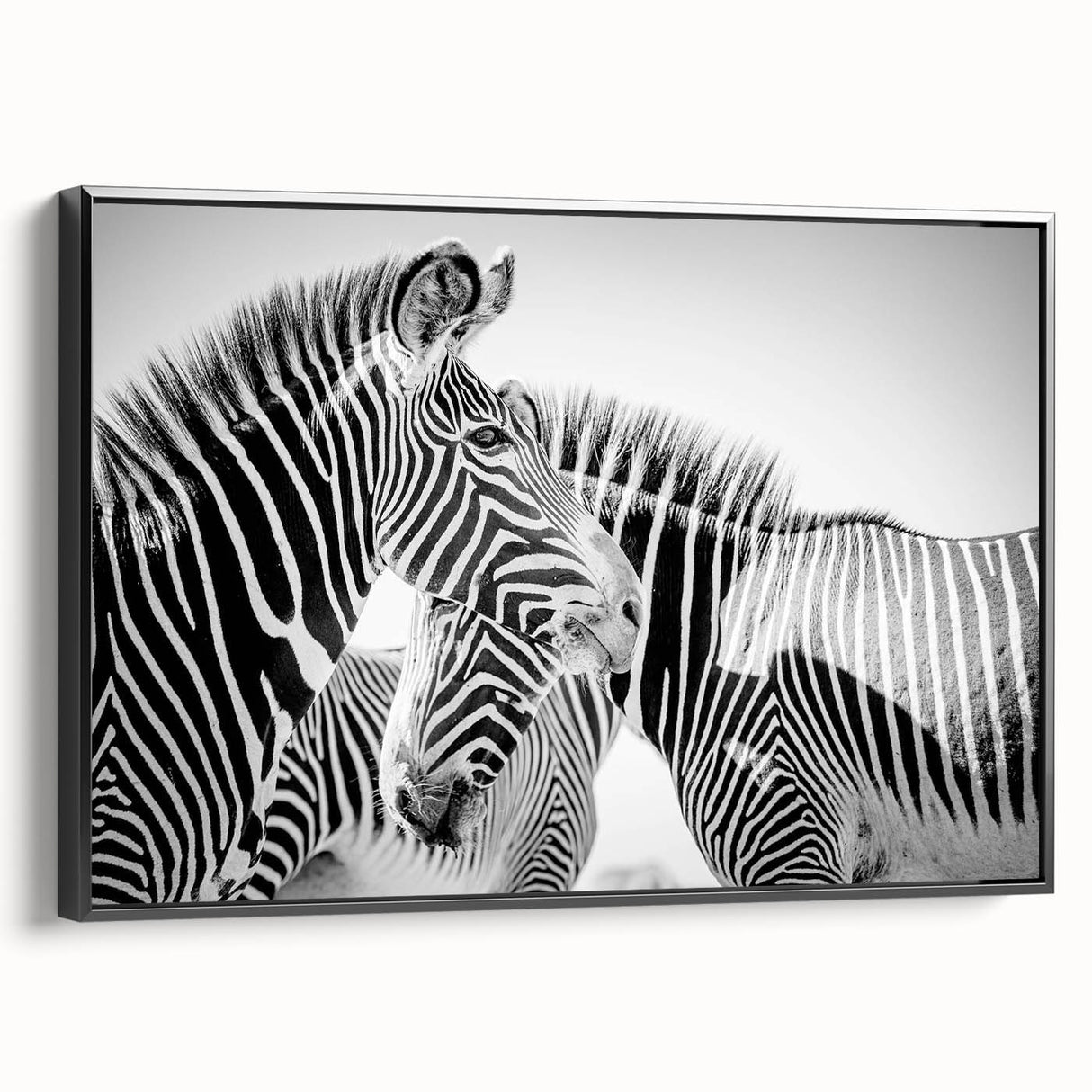 Framed canvas wall art showcasing a striking black and white zebra design, ideal for wildlife enthusiasts. The artwork adds a modern touch to any decor, emphasizing the beauty of nature in a stylish way.