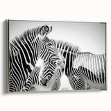 Framed canvas wall art featuring a striking zebra design in black and white, set against a sleek silver frame, perfect for modern decor and animal lovers.