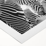 Zebra design wall art on rolled canvas, showcasing bold black and white stripes with a textured finish, perfect for enhancing contemporary decor.
