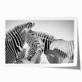 Zebra design wall art print showcasing vibrant black and white stripes, rolled and ready for framing, perfect for adding a touch of wildlife decor to any space.