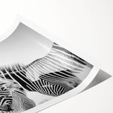 Zebra wall art print showcasing a striking black-and-white striped design, ideal for animal lovers and decor enthusiasts, presented in a rolled format for easy display.