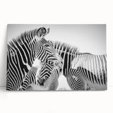 Stretched canvas wall art featuring a striking zebra design, showcasing bold black and white stripes, ideal for enhancing modern and wildlife-themed decor.