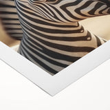 Rolled canvas showcasing a vibrant zebra design, featuring bold black and white stripes, ideal for enhancing modern decor and celebrating wildlife art.