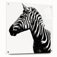 Zebra-themed wall art design displayed in a sleek acrylic frame, highlighting vibrant black and white stripes, perfect for modern decor enthusiasts.