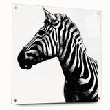 Zebra-themed wall art design displayed in a sleek acrylic frame, highlighting vibrant black and white stripes, perfect for modern decor enthusiasts.