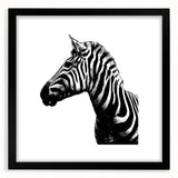Framed wall art showcasing a striking zebra design in black and white, perfect for animal lovers and modern decor, set against a sleek black frame with a mat.