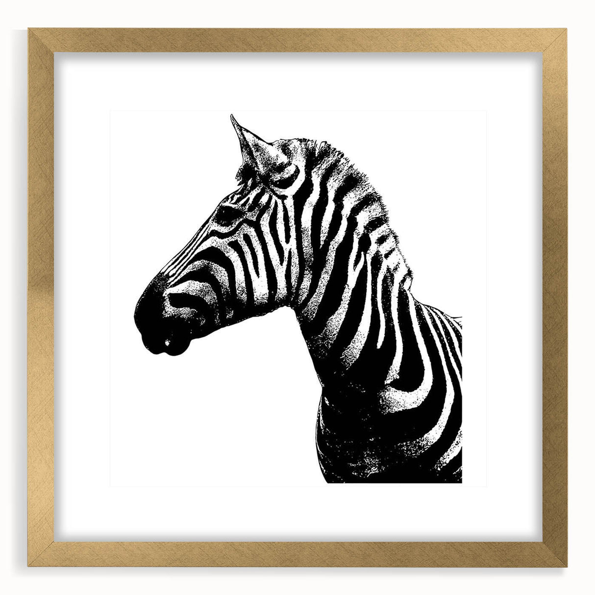 Zebra-themed wall art frame featuring a gold mat and elegant design, perfect for wildlife decor in modern interiors. Ideal for animal lovers and art enthusiasts.