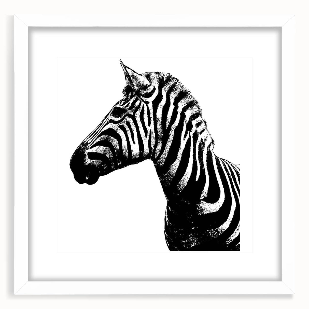 Framed wall art featuring a striking zebra design from the "Animals: A Wild Life" collection, showcasing a white mat and sleek frame, ideal for animal-themed decor.