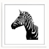 Framed wall art featuring a striking zebra design from the "Animals: A Wild Life" collection, showcasing a white mat and sleek frame, ideal for animal-themed decor.