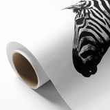 Zebra-themed rolled canvas wall art showcasing a striking black and white design, perfect for animal lovers and modern decor, presented in a protective tube.