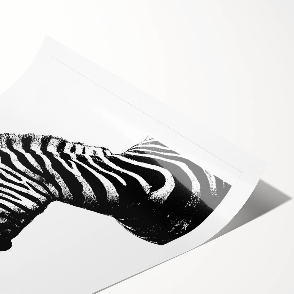 Zebra-themed wall art print showcasing a vibrant black and white striped design, rolled and ready for framing, perfect for animal lovers and home decor enthusiasts.