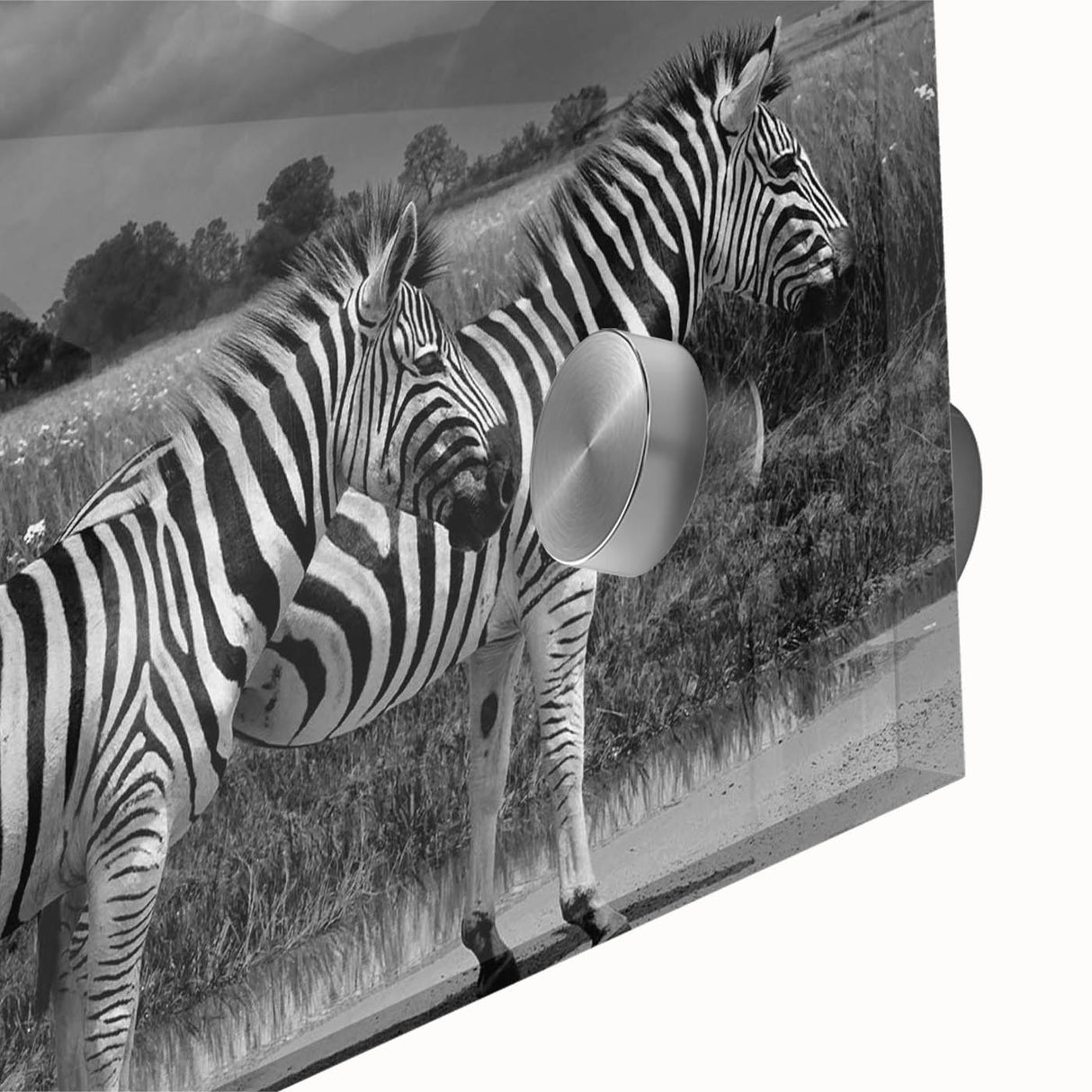 Close-up of a vibrant zebra design wall art piece featuring bold black and white stripes, showcasing intricate details and textures, perfect for animal lovers and home decor enthusiasts. This acrylic glass artwork adds a modern touch to any space, emphasizing wildlife themes and artistic expression.