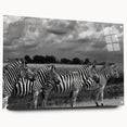 Acrylic glass wall art featuring a striking zebra design from the "Animals: A Wild Life" collection, displayed in a side view with visible pins, showcasing vibrant black and white patterns ideal for modern decor.