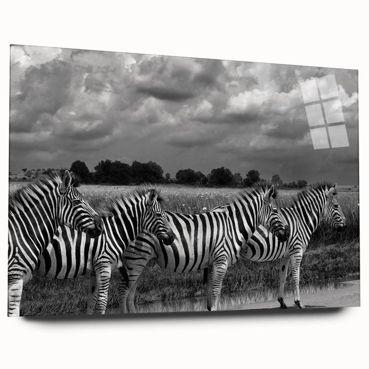 Acrylic wall art design showcasing a vibrant zebra pattern in a modern style, displayed on a sleek glass surface with a side view, perfect for contemporary decor.