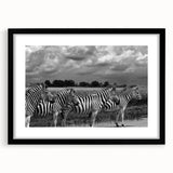 Framed wall art featuring a striking zebra design in black and white, set against a stylish black mat, perfect for adding a modern touch to home decor.