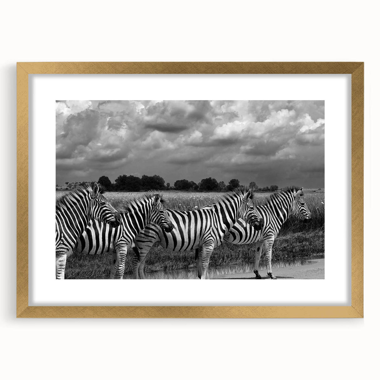 Framed wall art showcasing a striking zebra design with a gold mat, perfect for adding a touch of elegance to any living space or office decor. The vibrant colors and intricate details highlight the beauty of wildlife, making it an ideal choice for animal lovers and art enthusiasts alike.