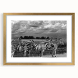 Framed wall art showcasing a striking zebra design with a gold mat, perfect for adding a touch of elegance to any living space or office decor. The vibrant colors and intricate details highlight the beauty of wildlife, making it an ideal choice for animal lovers and art enthusiasts alike.