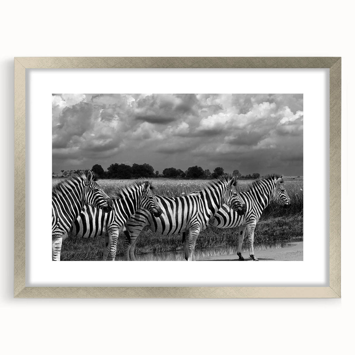 Zebra-themed wall art framed in silver, showcasing a striking black-and-white design that adds a touch of wildlife elegance to modern decor. Perfect for animal lovers.