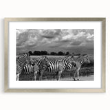 Zebra-themed wall art framed in silver, showcasing a striking black-and-white design that adds a touch of wildlife elegance to modern decor. Perfect for animal lovers.