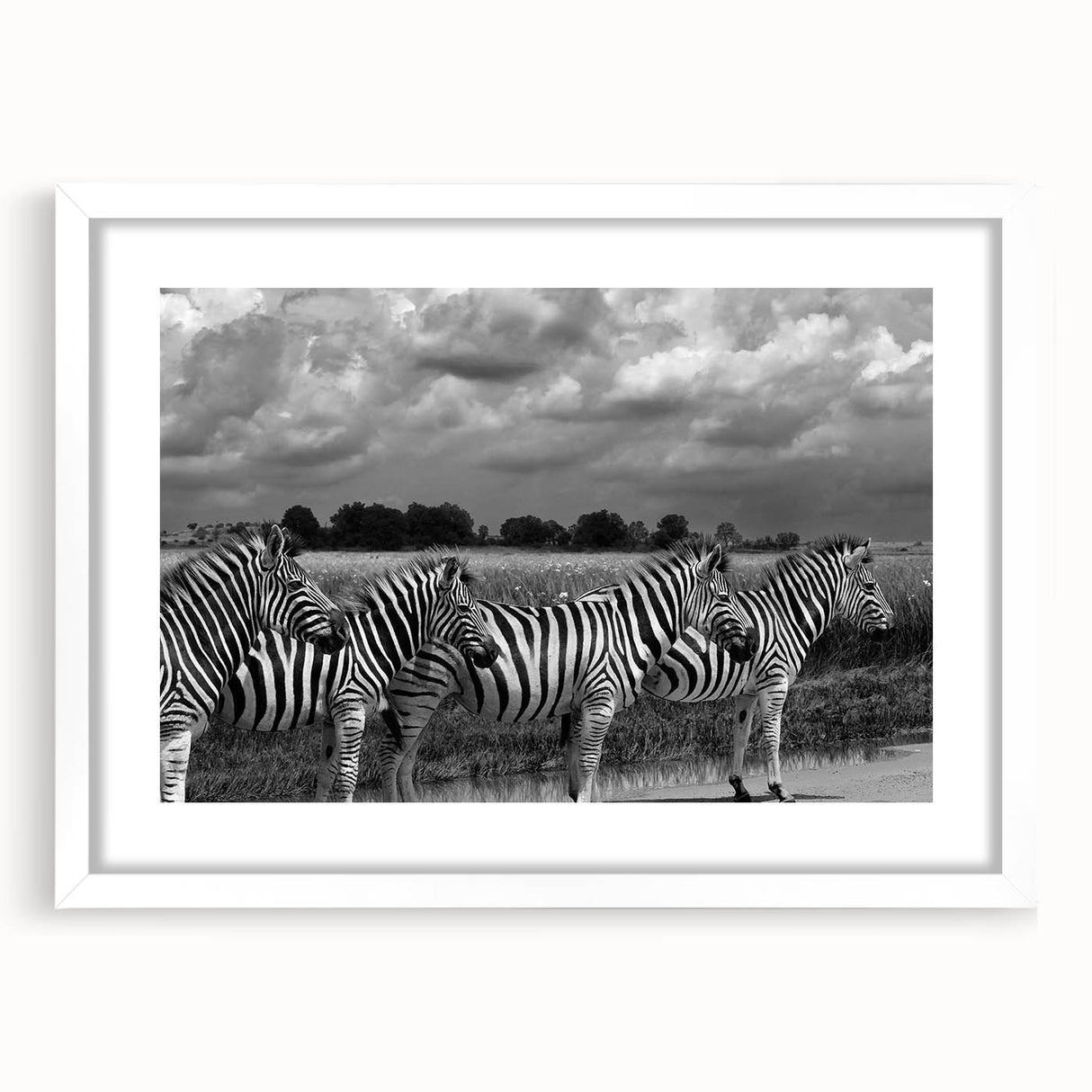 Framed wall art featuring a striking zebra design with a white mat, perfect for animal lovers and modern decor. Ideal for enhancing living spaces or offices.