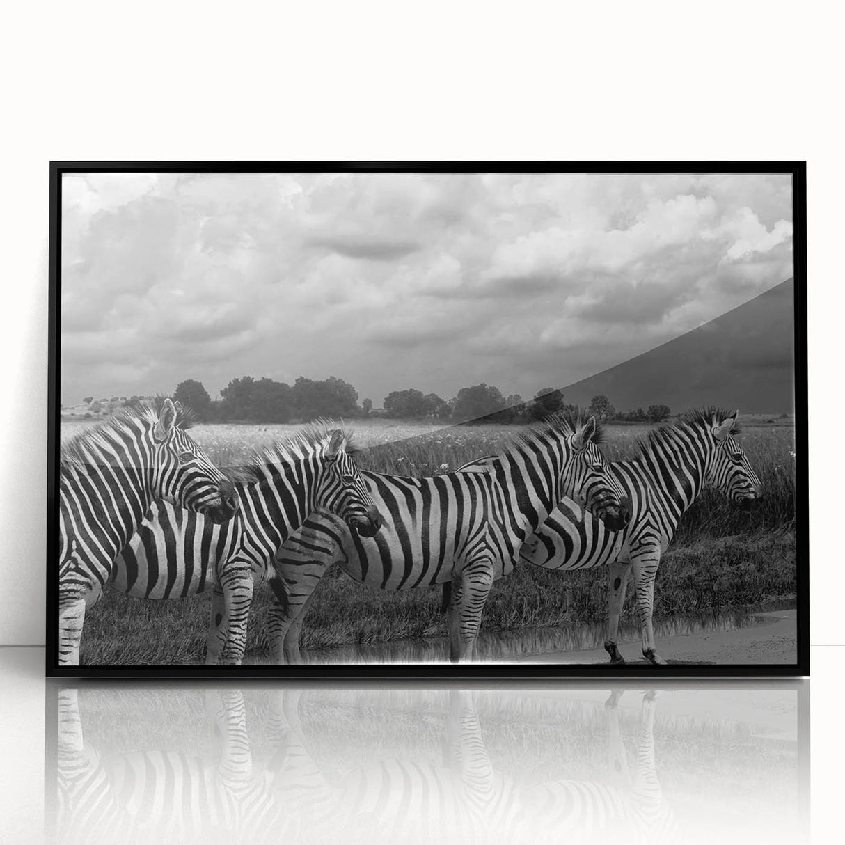 Framed acrylic wall art showcasing a striking zebra design, featuring bold black and white stripes, perfect for adding a touch of wildlife elegance to home decor.